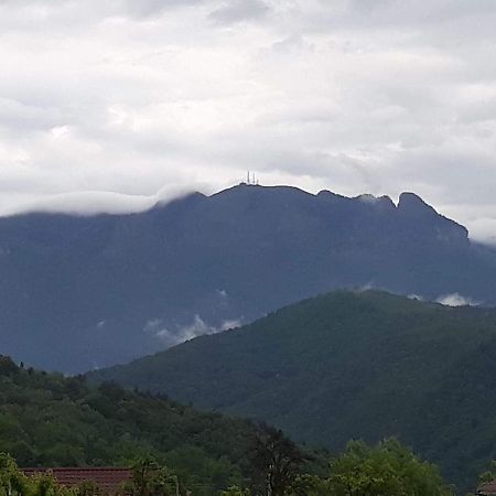 Casa Rariana Hotel Călimăneşti Bagian luar foto
