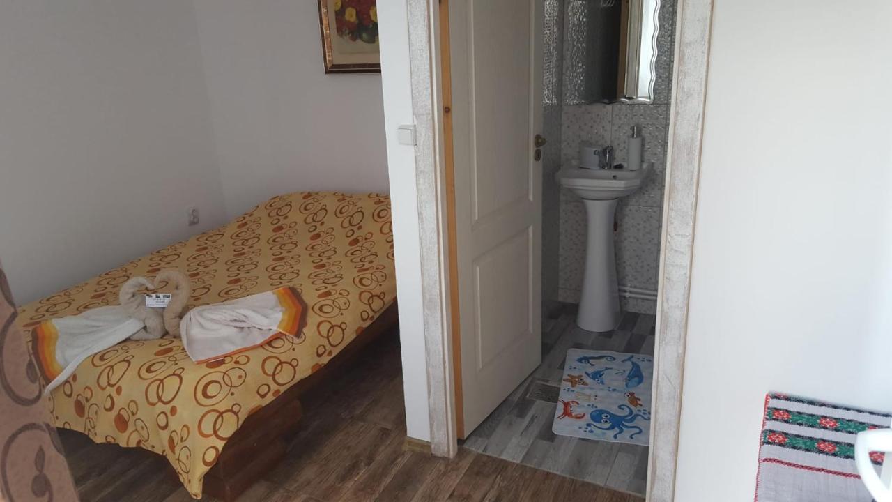 Casa Rariana Hotel Călimăneşti Bagian luar foto