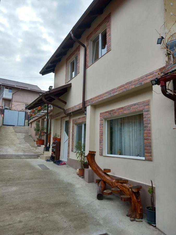 Casa Rariana Hotel Călimăneşti Bagian luar foto