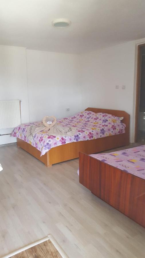 Casa Rariana Hotel Călimăneşti Bagian luar foto