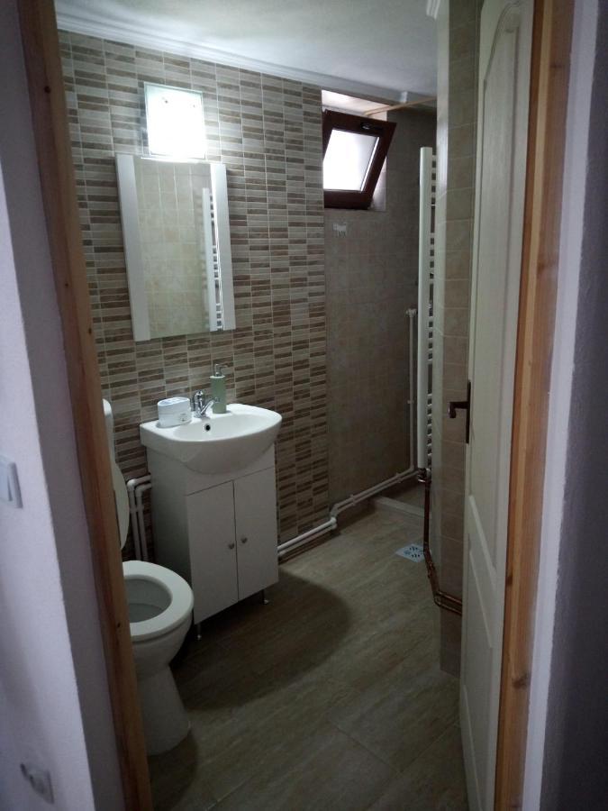 Casa Rariana Hotel Călimăneşti Bagian luar foto
